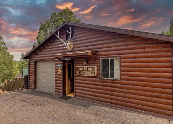 Cabin #6 Bobcat Bunkhouse - Pet Friendly - King Bed - Sleeps 4